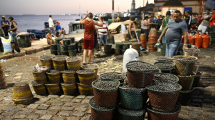 A&ccedil;a&iacute;, o fruto amaz&ocirc;nico que conquistou o mundo