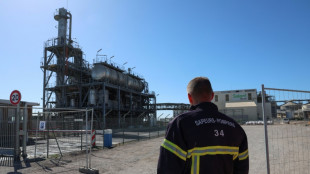 "Aucun risque de pollution" apr&egrave;s l'incendie dans une usine Seveso &agrave; S&egrave;te, selon la pr&eacute;fecture