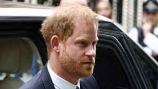 Prince Harry to seek appeal after losing court challenge over security