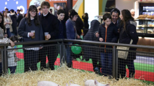 Au Salon de l'agriculture, les cloches et la viande mais pas les vaches
