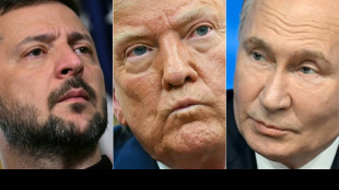 Kremlin rebuffs Zelensky's call for three-way meeting with Trump, Putin