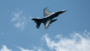 Japon, Royaume-Uni, Italie vont d&eacute;velopper un avion de combat de nouvelle g&eacute;n&eacute;ration