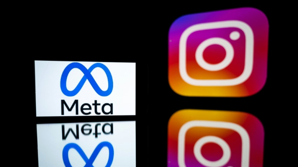 T&uuml;rkei sperrt Zugang zu Online-Netzwerk Instagram