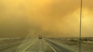 Texas towns evacuated as prairie fires rage
