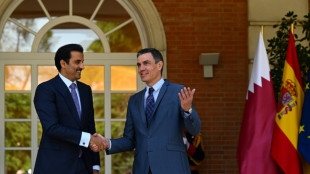 Espa&ntilde;a estrecha sus relaciones econ&oacute;micas con Catar