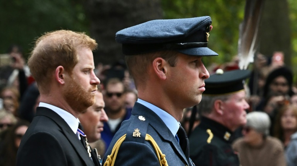Le prince Harry accuse William de l'avoir jet&eacute; au sol en 2019