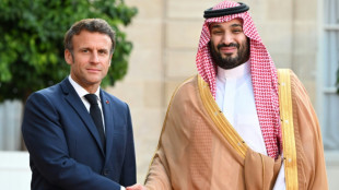 T&ecirc;te &agrave; t&ecirc;te &agrave; l'Elys&eacute;e entre Macron et le prince h&eacute;ritier saoudien