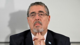 Partido do presidente eleito da Guatemala tenta anular sua suspens&atilde;o