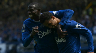 African players in Europe: Ndiaye gives Everton perfect send-off