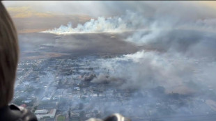 Inc&ecirc;ndios florestais deixam ao menos 36 mortos no Hava&iacute;; milhares s&atilde;o evacuados