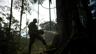 Ind&iacute;genas da Amaz&ocirc;nia colombiana alertam para aumento do desmatamento se Usaid fechar