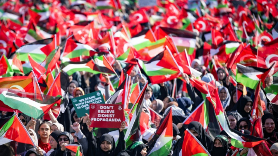 Turquie: des milliers de manifestants pro-palestiniens &agrave; Istanbul