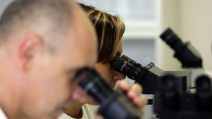 Aperto dal 15/4 il bando da 50 milioni per attrarre ricercatori