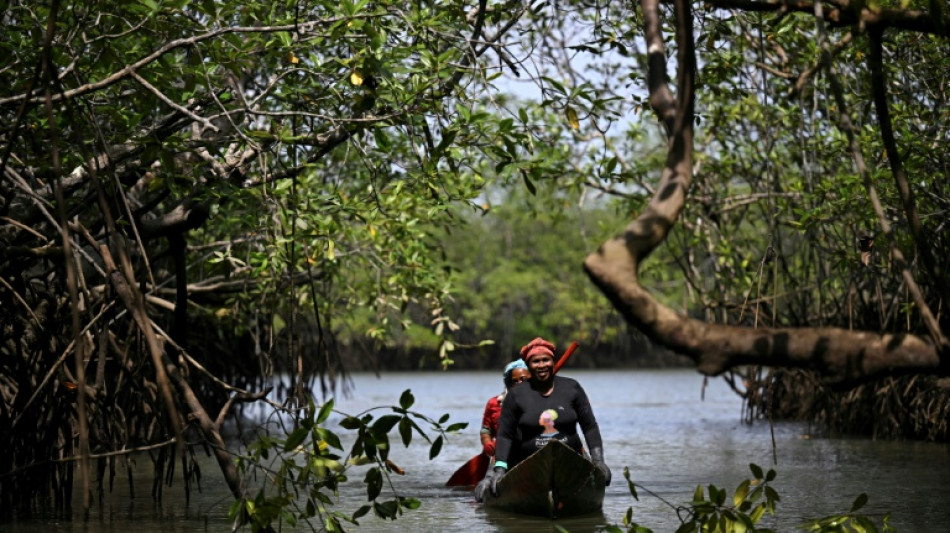 A batalha vitoriosa de negros e ind&iacute;genas para conservar seu para&iacute;so no Pac&iacute;fico colombiano