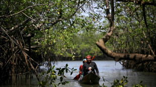 A batalha vitoriosa de negros e ind&iacute;genas para conservar seu para&iacute;so no Pac&iacute;fico colombiano