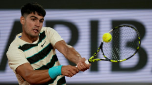 Alcaraz wobbles but reaches French Open last 16