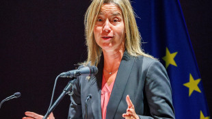 Legale di Mogherini, 'interrogatorio fiume, risposte a 360°'