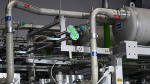 RWE nur mit Subventionen der Regierung zu Investitionen in gr&uuml;nen Wasserstoff bereit