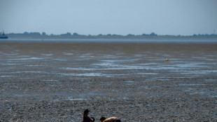 Seenotretter holen 25 Wanderer aus Watt vor nordfriesischer Insel Amrum 