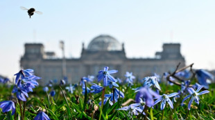 Bundestag verabschiedet Apothekenreform und ber&auml;t antragsloses Kindergeld