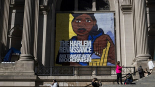 Marginalized no more, expo celebrates Harlem Renaissance
