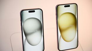 Apple num&eacute;ro un des ventes de smartphones en 2023 selon une &eacute;tude