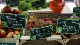 Face &agrave; la crise du bio, les agriculteurs d'Occitanie font le "dos rond"