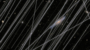 La prolifération des satellites menace l'observation du ciel par télescope