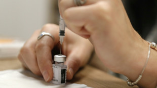 Les vaccins anti-Covid à ARN messager ne causent aucune hausse de la mortalité, selon une étude