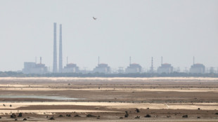 Russia says situation at Zaporizhzhia nuclear plant under control