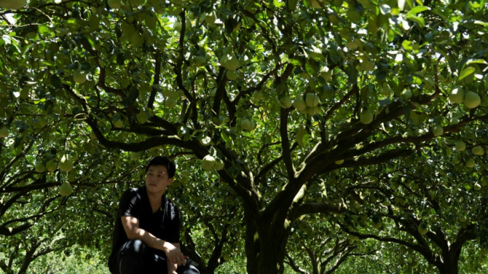 Ta&iuml;wan: les producteurs de fruits et de poissons mis sous pression par les sanctions de P&eacute;kin