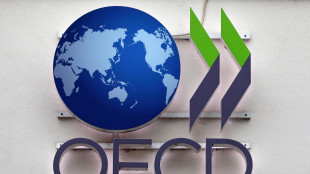 Ocse, in Italia crescita allo 0,6% nel 2026, 0,7% in 2027