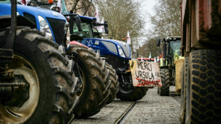 EU hopes Trump tariffs can nudge Mercosur deal past finish line