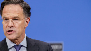 Rutte, 'solo una manciata di alleati fuori dall'iniziativa Purl'