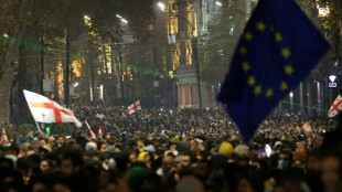 Pour l'opposition en G&eacute;orgie, la manifestation comme rem&egrave;de &agrave; la m&eacute;lancolie