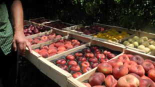 Pesticides: des "polluants éternels" toujours plus présents dans les fruits et légumes en Europe