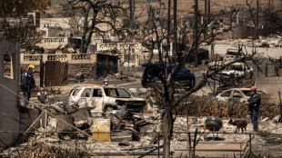 Incendies &agrave; Hawa&iuml;: d&eacute;mission du responsable de la gestion des crises de Maui