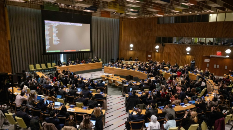 La ONU expulsa a Ir&aacute;n de un organismo de derechos de las mujeres por la represi&oacute;n