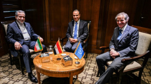 Nucl&eacute;aire iranien: T&eacute;h&eacute;ran exclut tout accord visant &agrave; le priver de ses "activit&eacute;s pacifiques" 