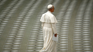El papa Le&oacute;n XIV estudia visitar Par&iacute;s y Lourdes "a finales de septiembre", seg&uacute;n los obispos