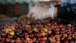 La econom&iacute;a de Colombia creci&oacute; 1,7% en 2024, con el caf&eacute; como protagonista