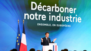Climat: Macron propose un pacte de d&eacute;carbonation aux industriels