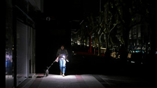 Restablecida la electricidad en Espa&ntilde;a y Portugal tras un apag&oacute;n masivo