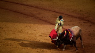 Spain scraps national bullfighting prize sparking debate