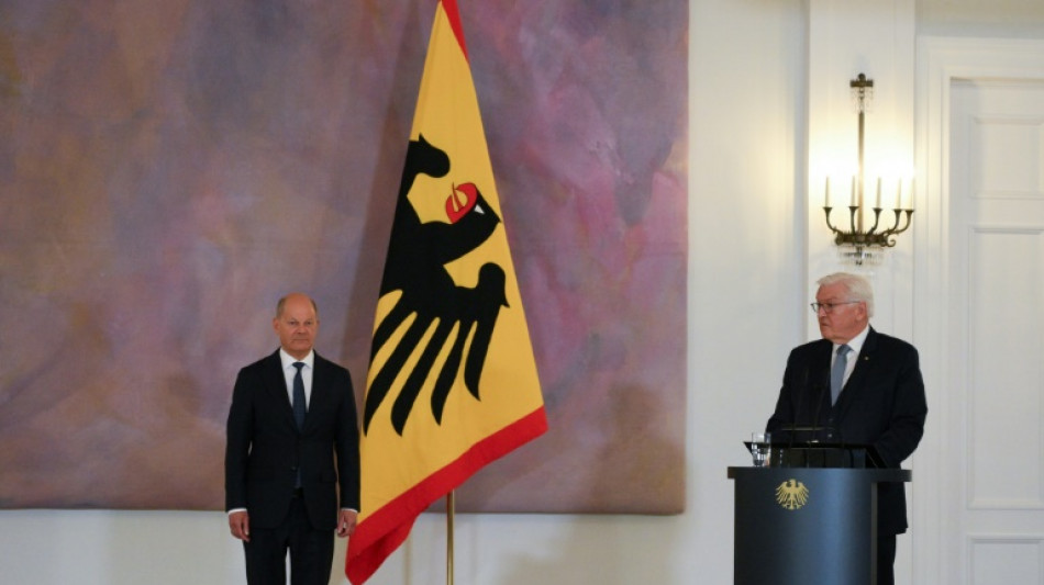 Steinmeier entl&auml;sst Kabinett Scholz - gesch&auml;ftsf&uuml;hrend weiter im Amt