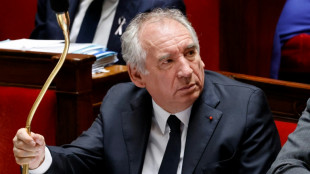 R&eacute;f&eacute;rendum sur le budget: l'id&eacute;e de Bayrou accueillie avec fra&icirc;cheur 