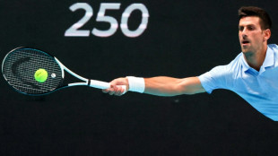 ATP: Djokovic remporte &agrave; Tel Aviv son 3e tournoi de la saison