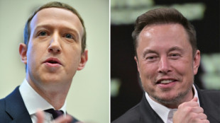 Musk diz que 'luta' contra Zuckerberg acontecerá na Itália