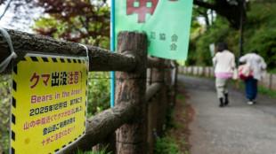 Japon: un ours blesse quatre personnes dans deux enterprises et une zone r&eacute;sidentielle