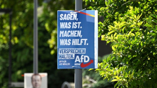 AfD auch im ZDF-"Politbarometer" auf H&ouml;chstwert - Union aber weiter auf Platz eins